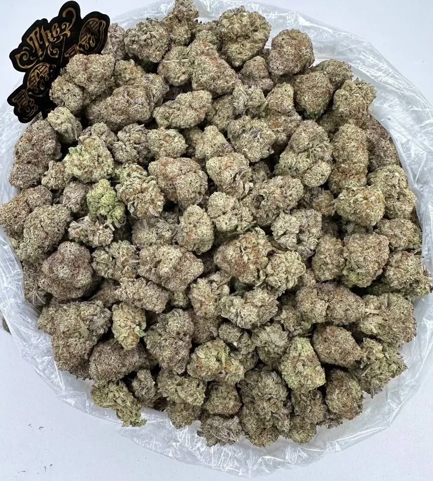 Jungle Cake