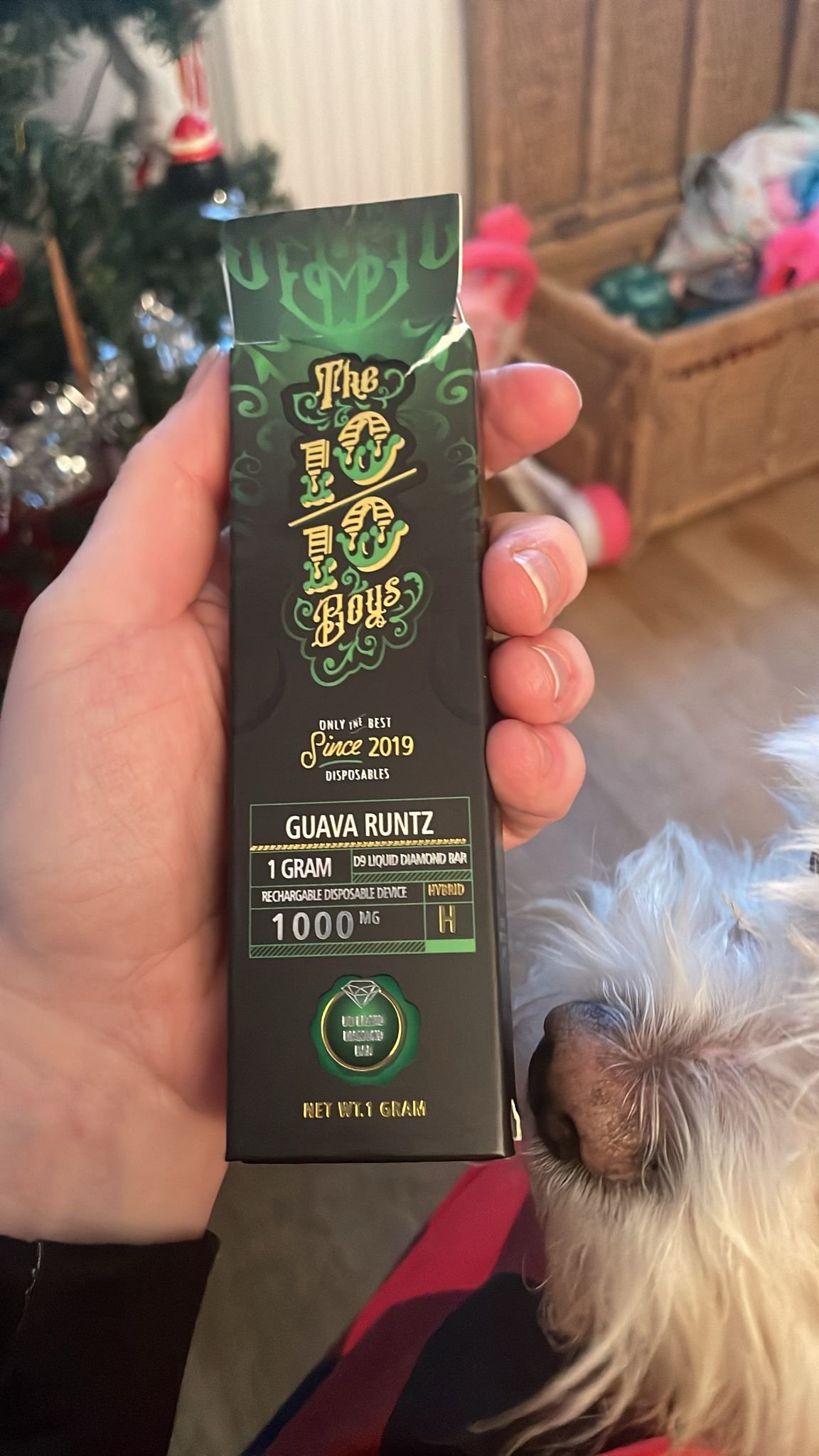 The 10/10 Boys GUAVA RUNTZ 1GRAM