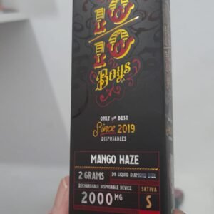 The 10/10 Boys MANGO HAZE 2GRAMS